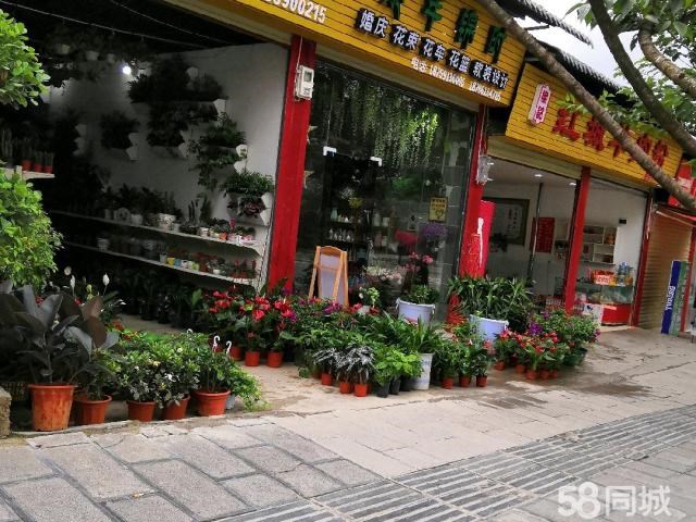 (转让) 素年锦时鲜花店(急转)