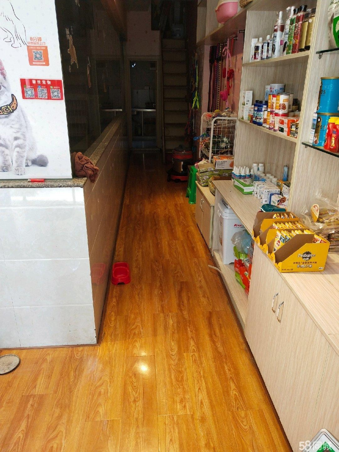 急急急宠物店转让 