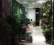 (转让) 桃溪路口九月花店转让