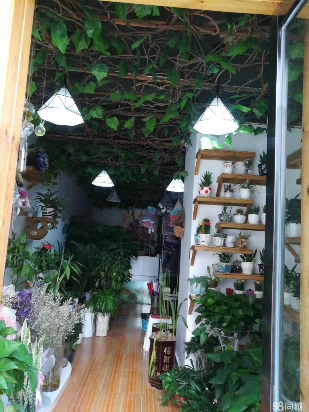 南白华城都汇新装修门面急，急，急转