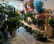 (转让) 花店转让（带手艺一起）