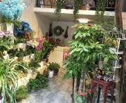(转让) 花店转让（带手艺一起）