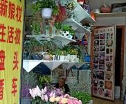 (转让) 花店整体转让临街门面