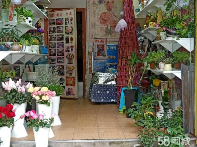 (转让) 花店整体转让临街门面