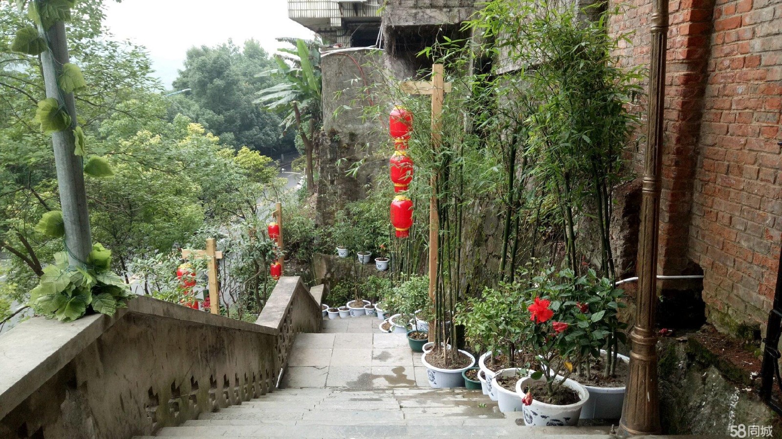 低价急转竹滋味（原龙凤山庄）