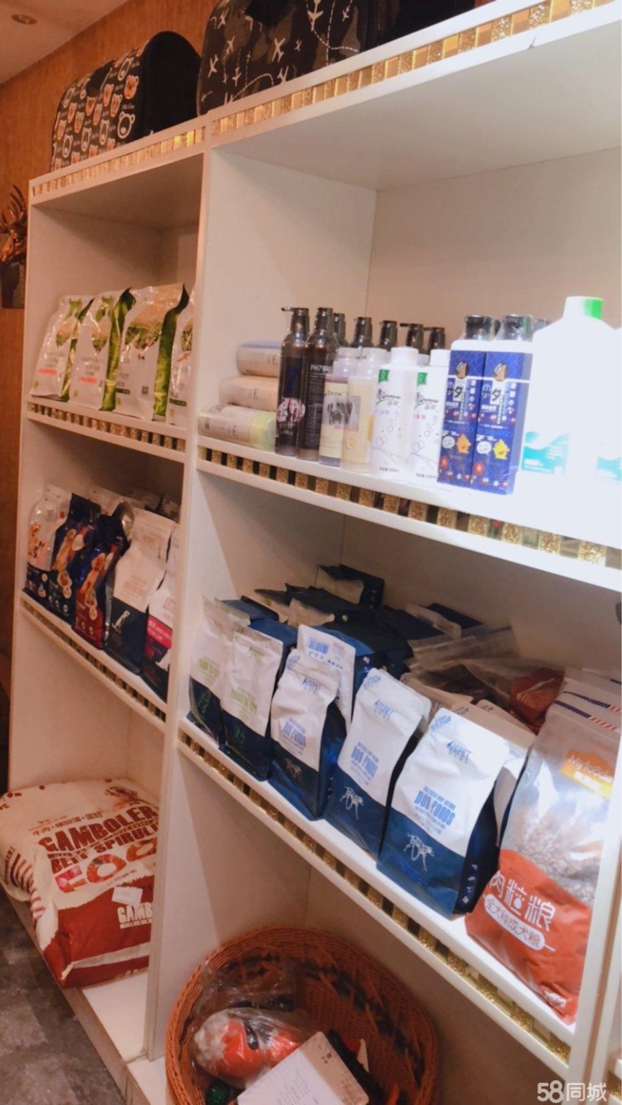 因个人原因，现将营业中宠物店转让