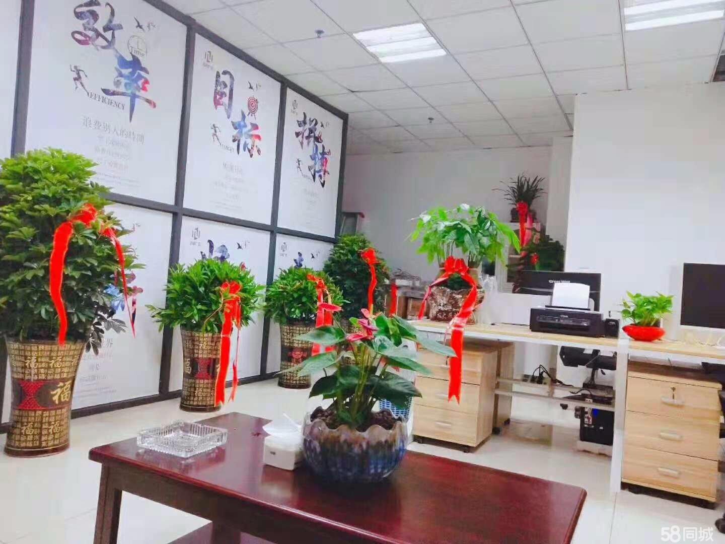 遵义国际商贸城商业街商铺生意转让