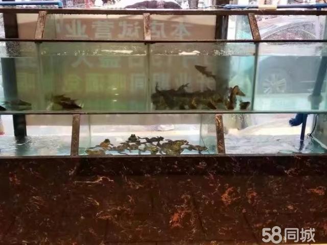 合众路黄金门面转让 房租整条街低 