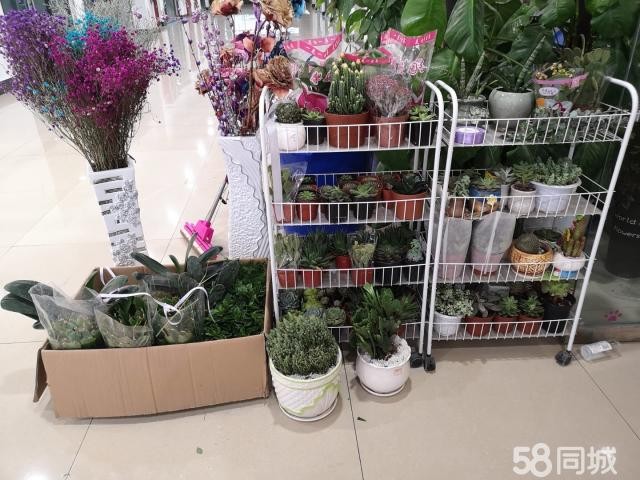 鲜花店转让（一生所爱）