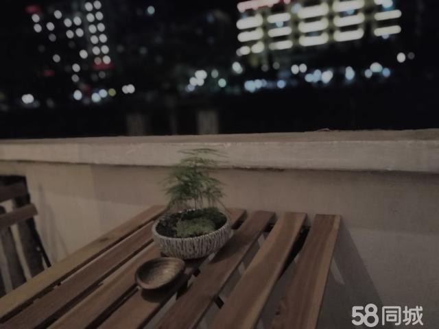  狮子桥河边茶室转让