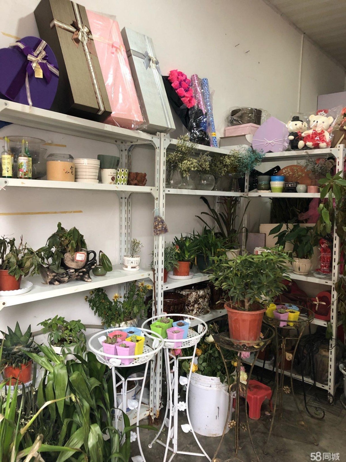 (转让) 花店所有东西一起转让