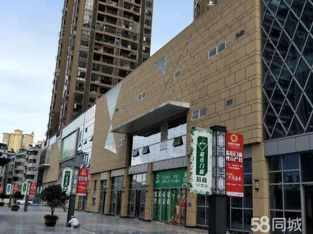 (出租) 昆明路世贸城天街 高端电子品牌及百货集中地段
