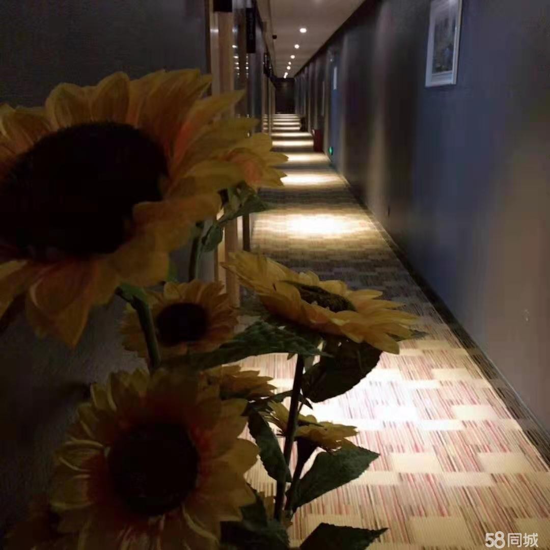 (转让)赤水连锁快捷酒店转让