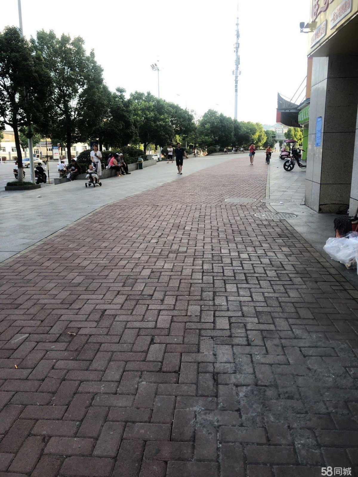 (转让)因和合伙人意见不同转行，所以转让营利中店铺，。