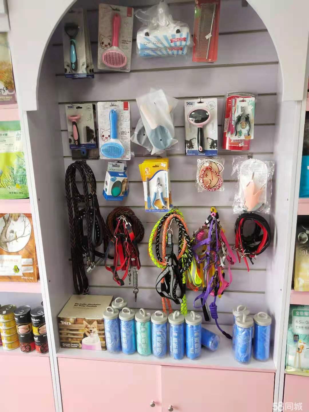 红花岗区蟠桃路宠物店转让