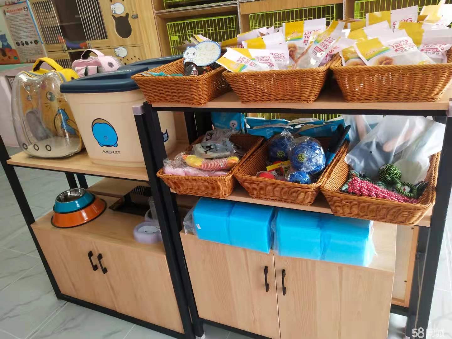 红花岗区蟠桃路宠物店转让
