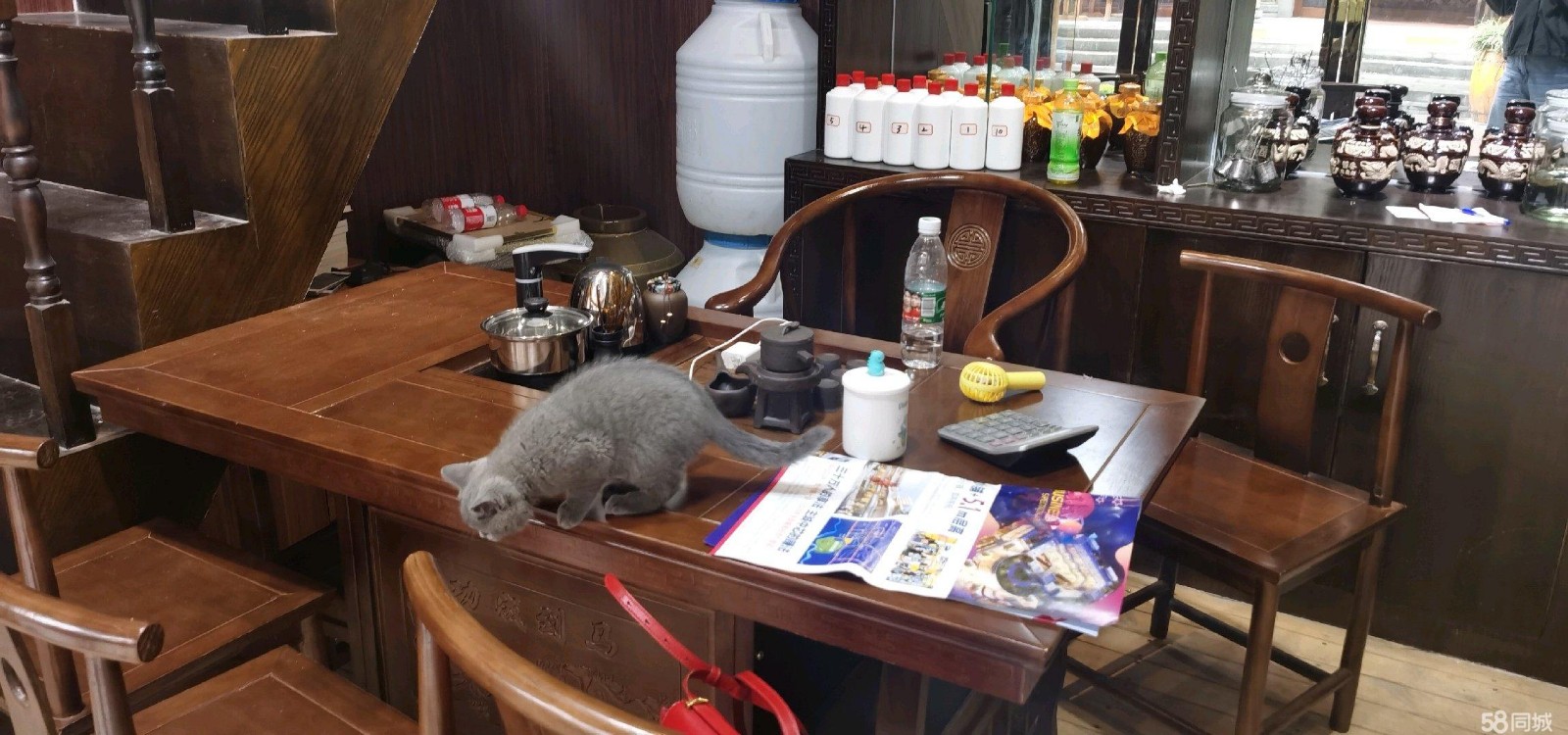 (转让)茅台镇杨柳弯特色商业街店面转让，接手即可营业