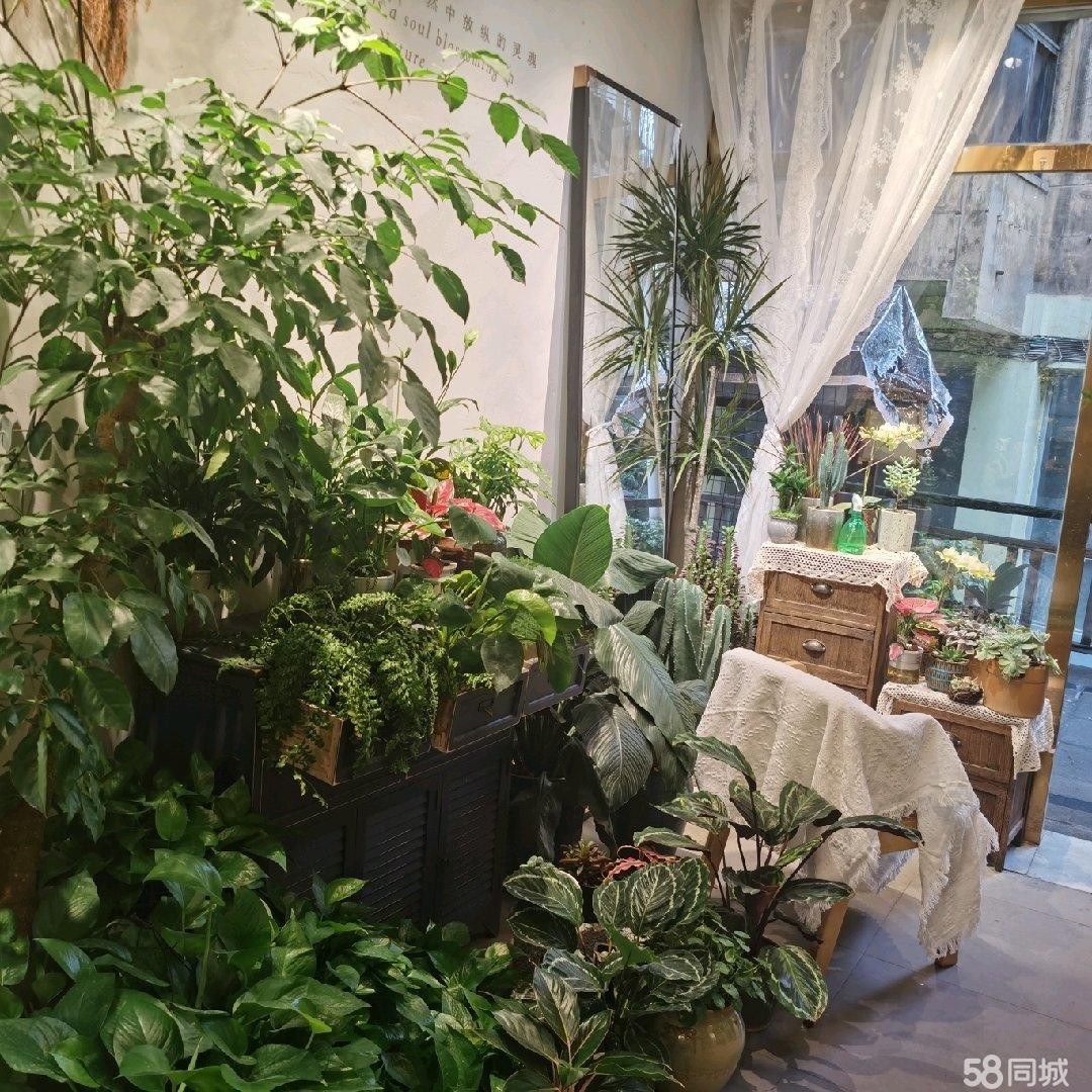 (转让)现在经营花店，稳定客源，固定人流，会址和捞沙巷中间
