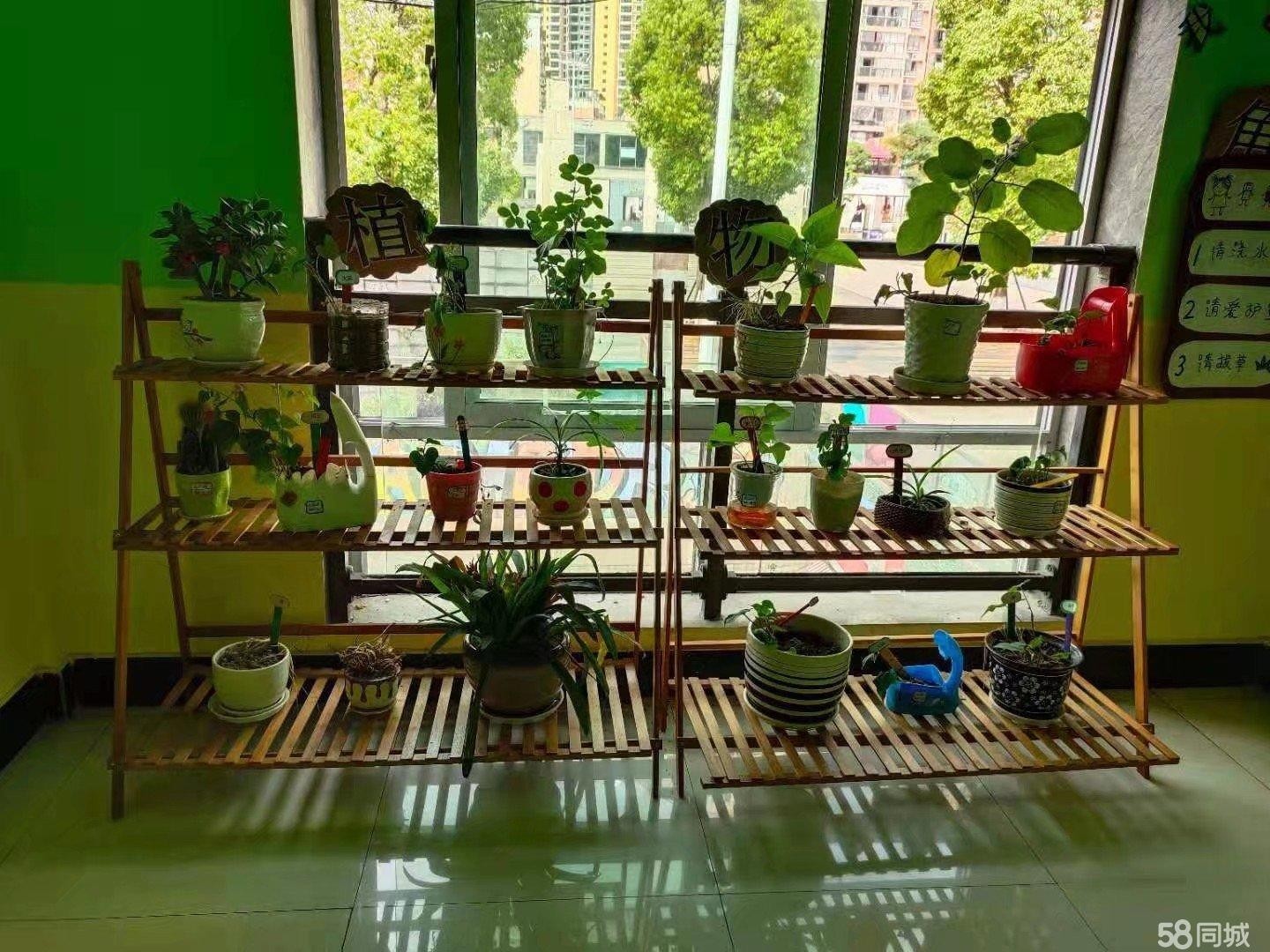 (转让)县城中心地段,接送孩子方便,环境优美