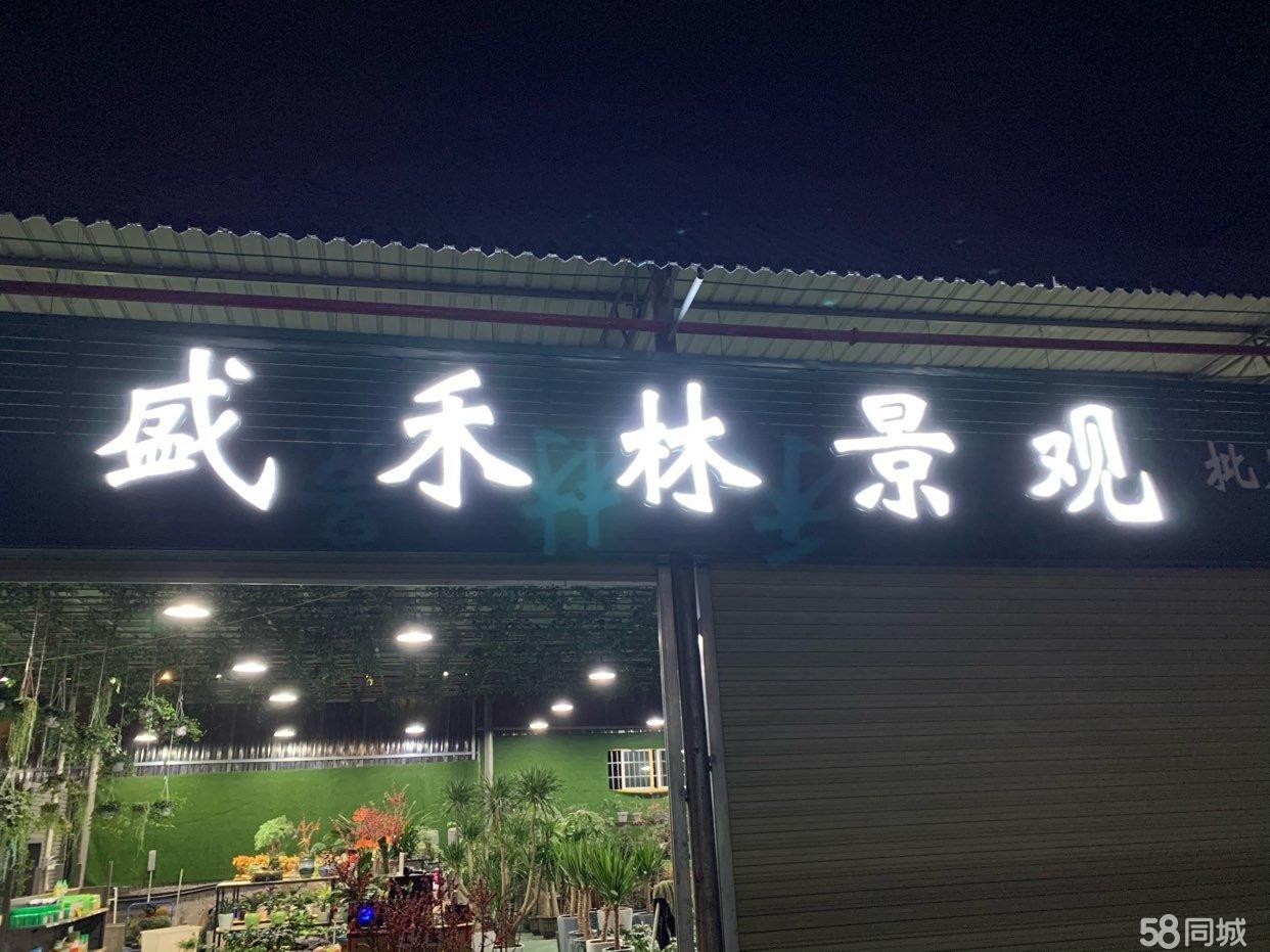 (转让)忠庄花鸟市场门市转让