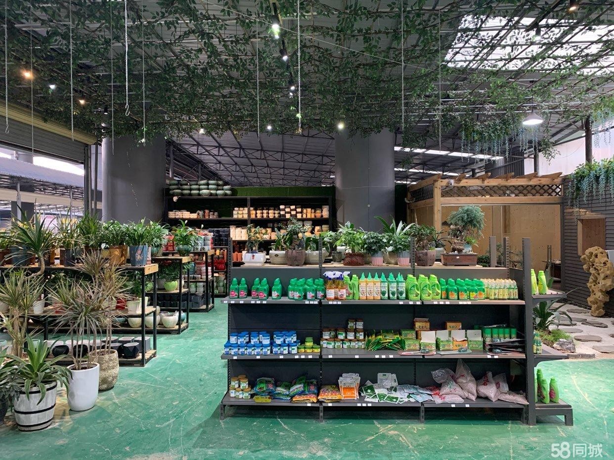 (转让)忠庄花鸟市场门市转让