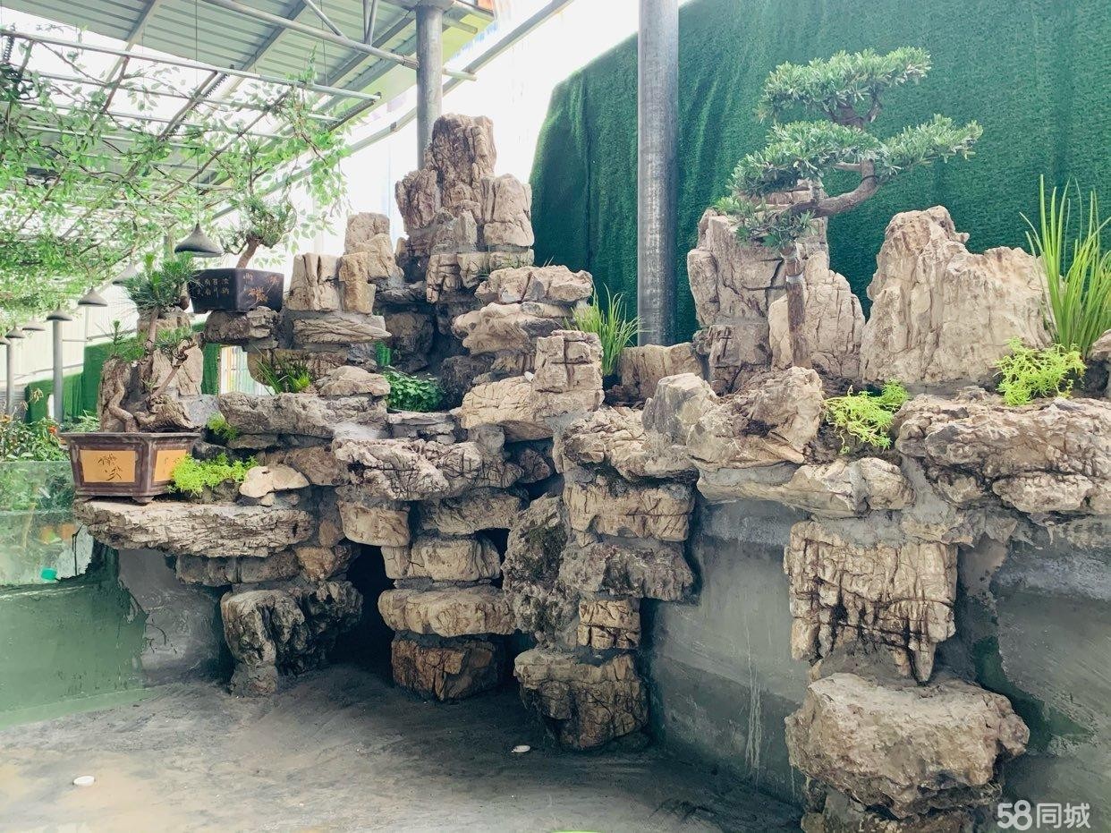 (转让)忠庄花鸟市场门市转让