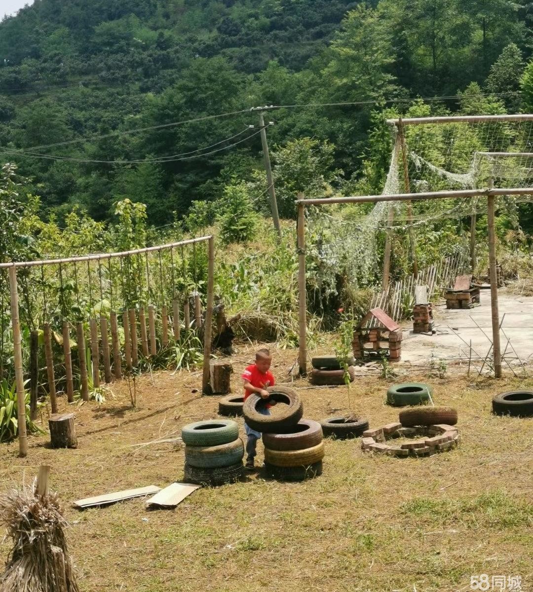 (转让)原生态农场，可做生态旅游和户外教育基地，寻求出租、转让或合作