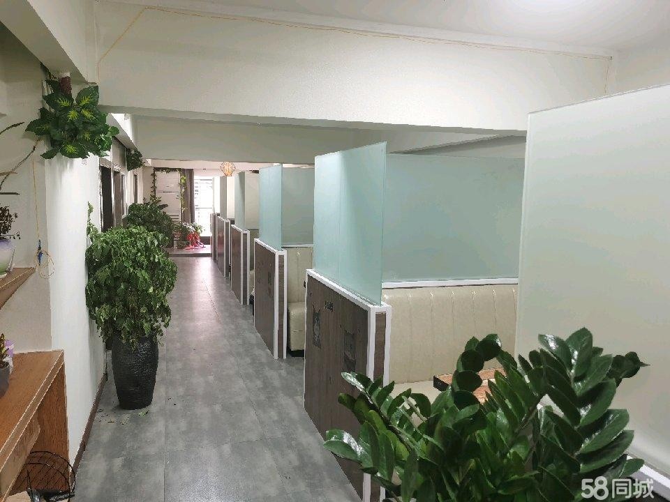 (转让)澳门路中段城市中心!妲己酒吧楼下!