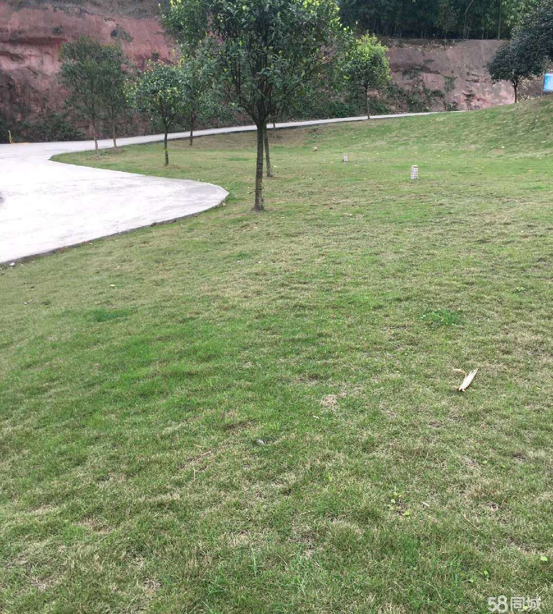 (转让)赤水严家河污水处理厂股份转让,价格可面议!欢迎来电咨询