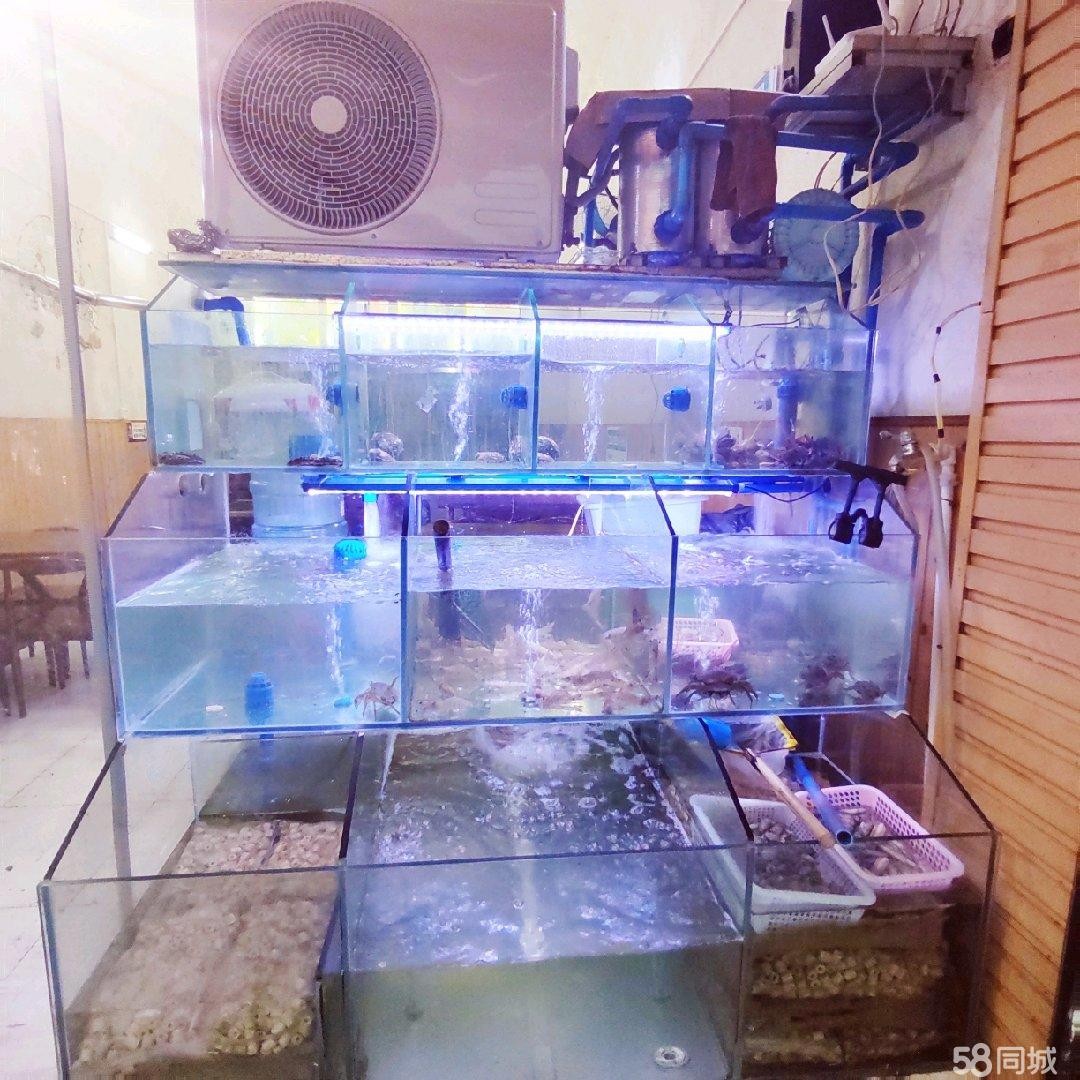 (转让)营业中忠庄任性海鲜店转让，新装修，带技术超低价，接手可经营。