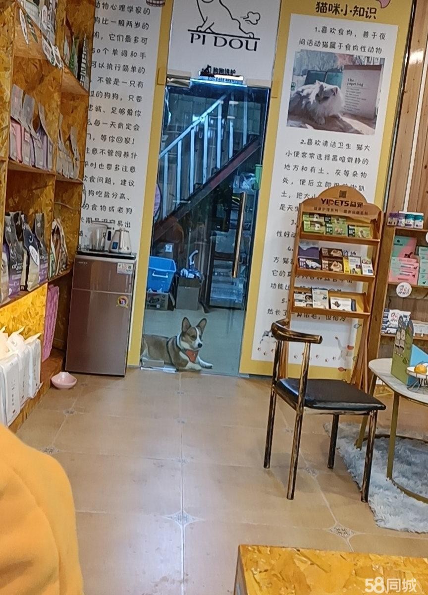 (转让)店铺转让宠物店转让私人原因要去外地
