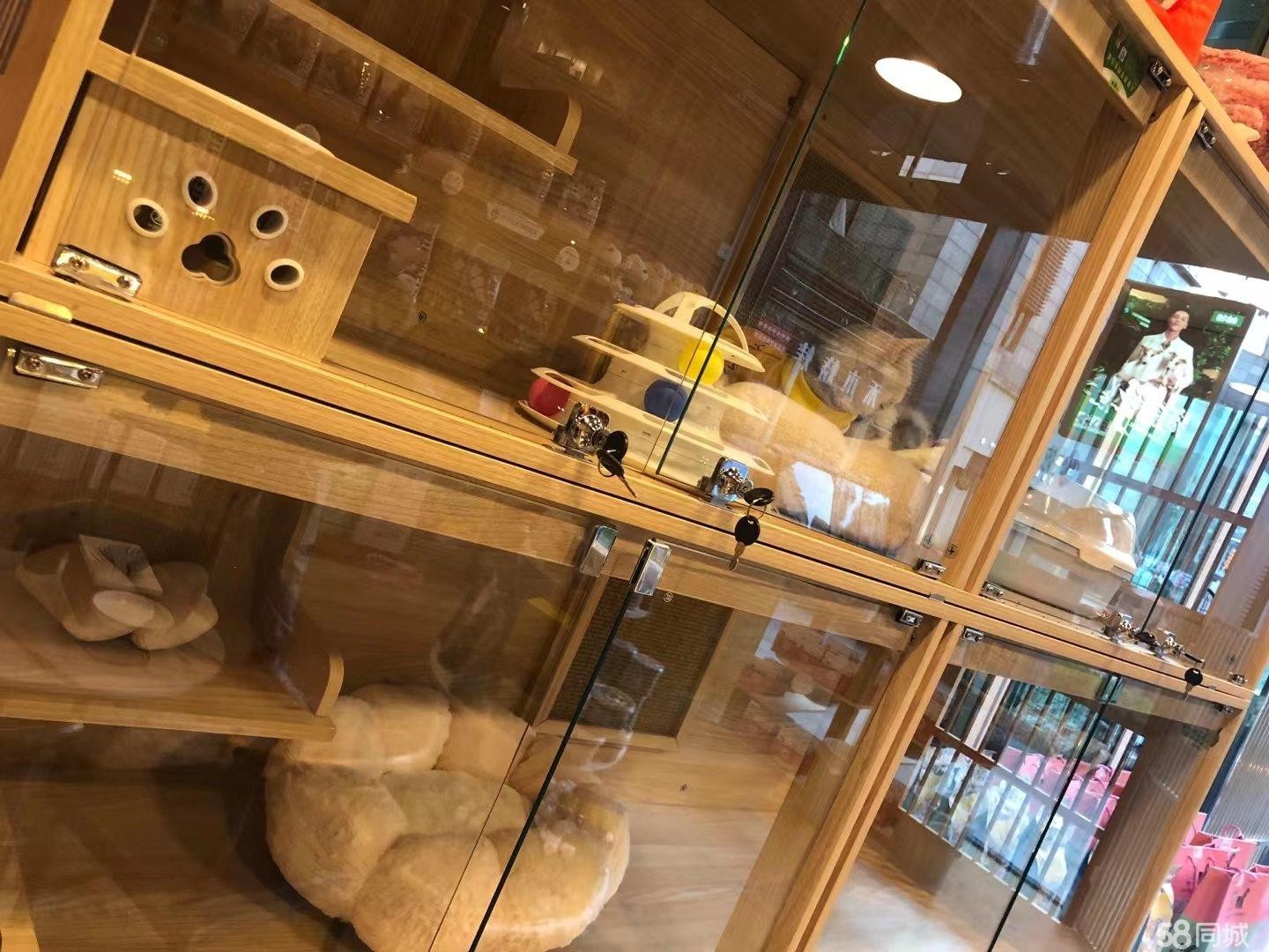 (转让)店铺转让宠物店转让私人原因要去外地