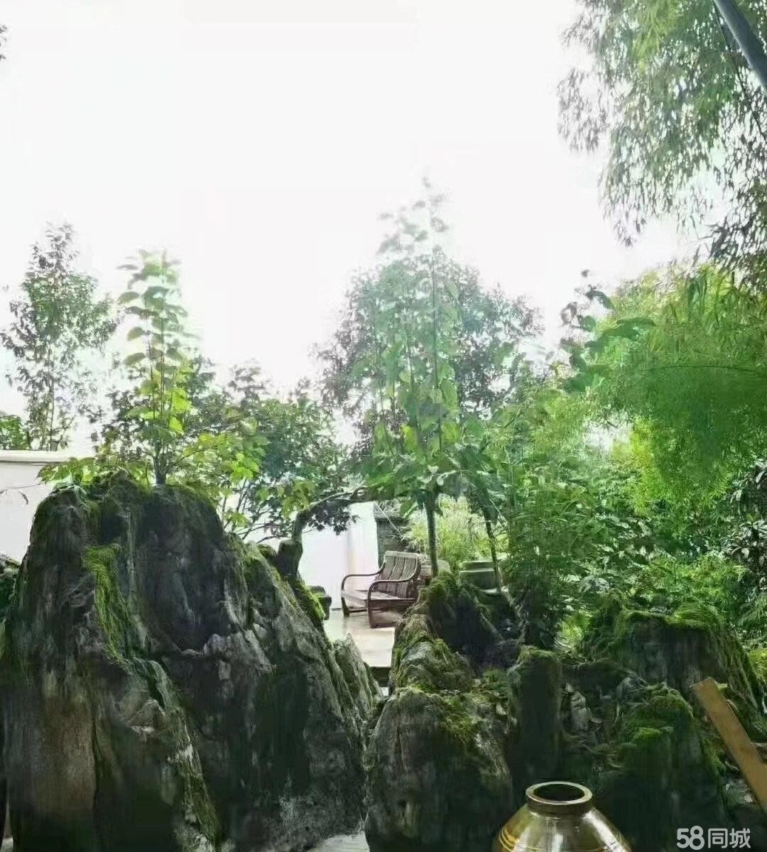 (转让)汇川区高桥周边马路边