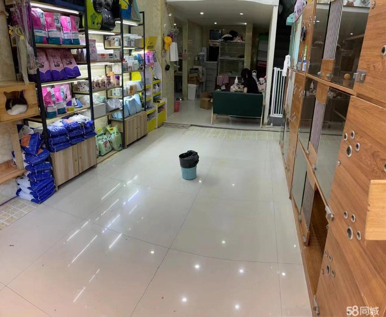 (转让)洗马路名猫专卖宠物店