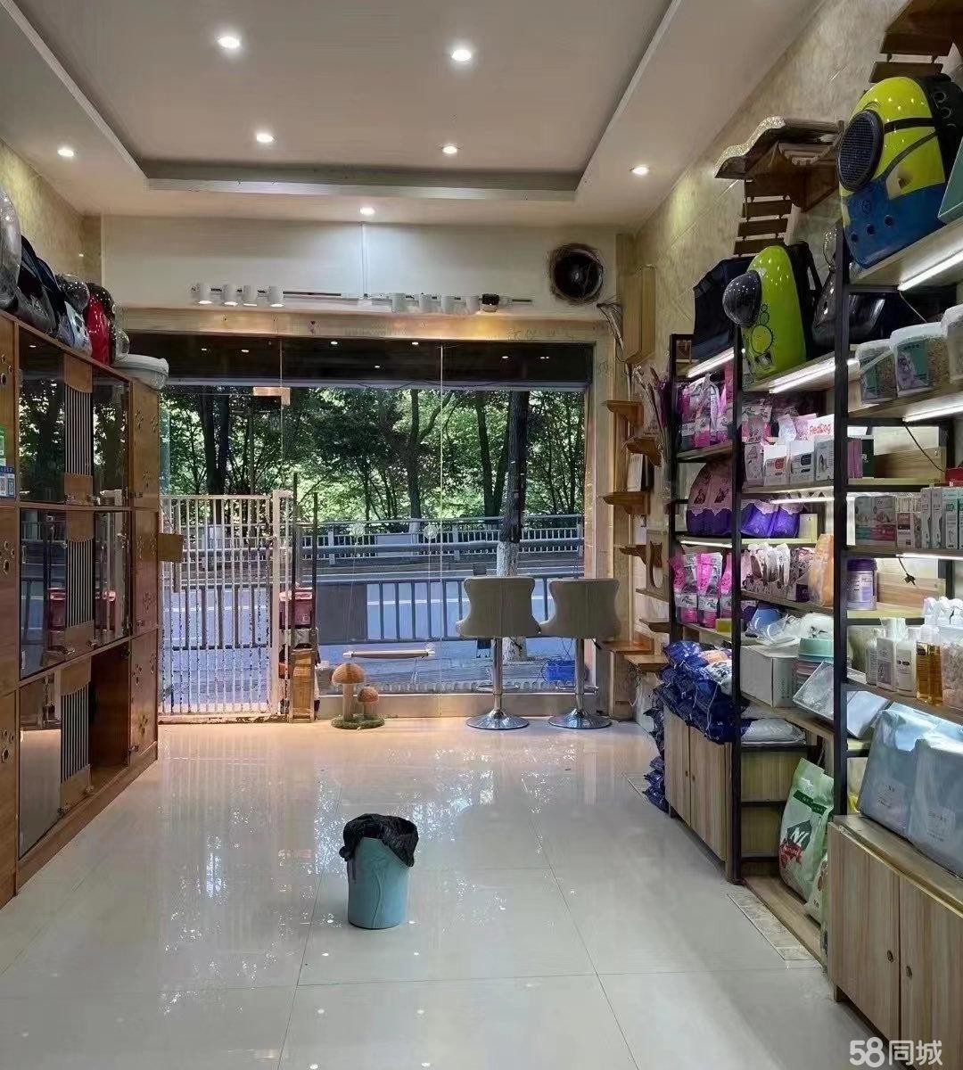 (转让)洗马路名猫专卖宠物店