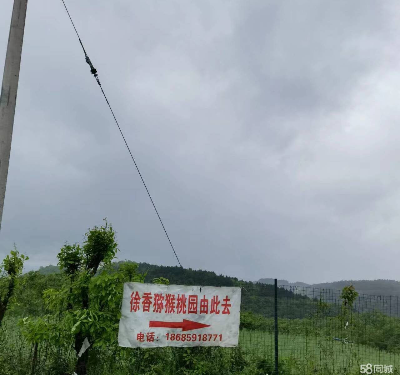 (转让)果园内有住房，冷库等配套实施