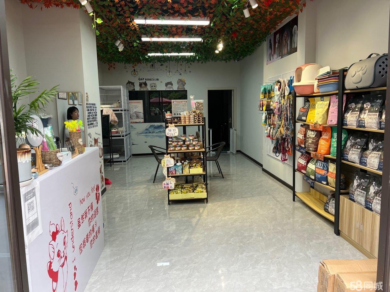 (转让)宠物店转让中股的行业