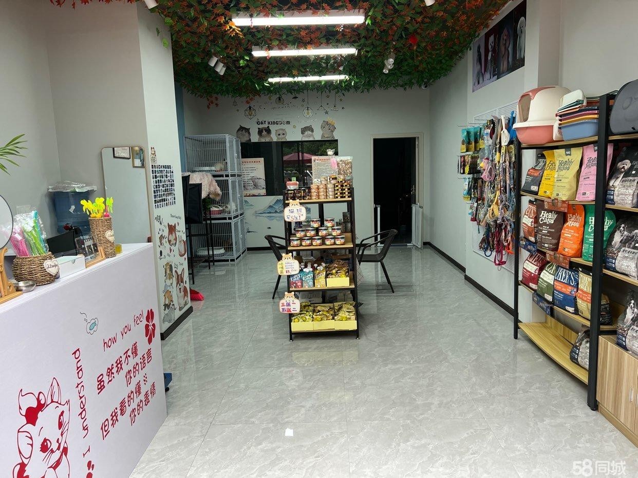 (转让)宠物店转让中股的行业