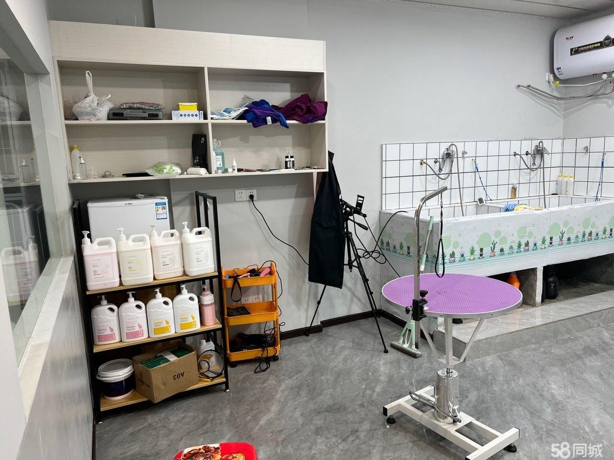 (转让)宠物店转让中股的行业
