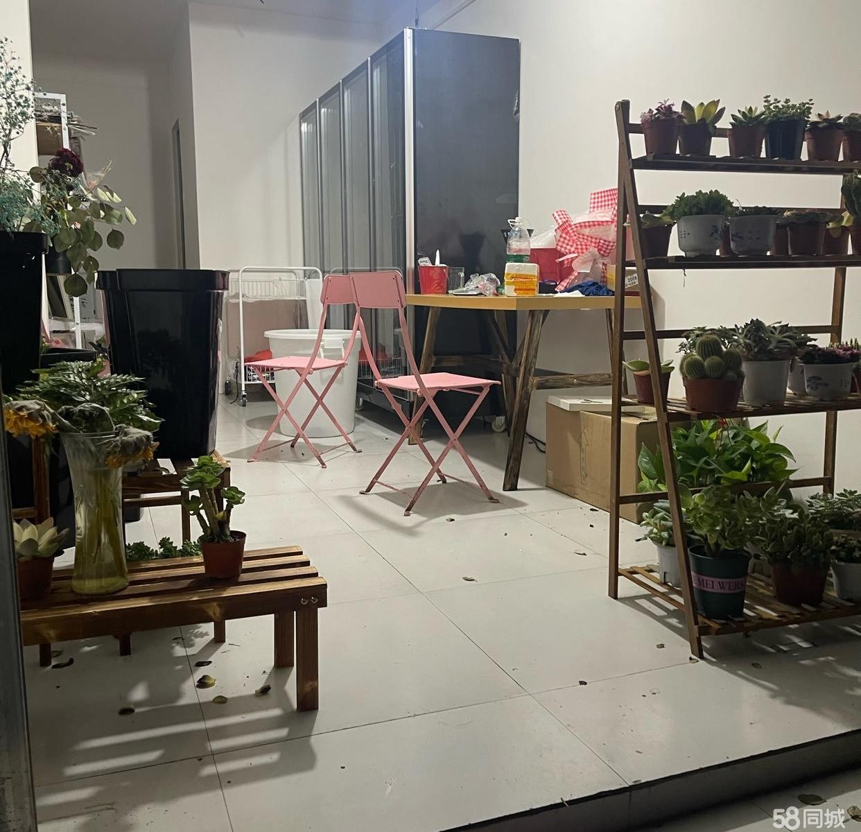 (转让)鲜花店转让,老板不在遵义，低价转或空转