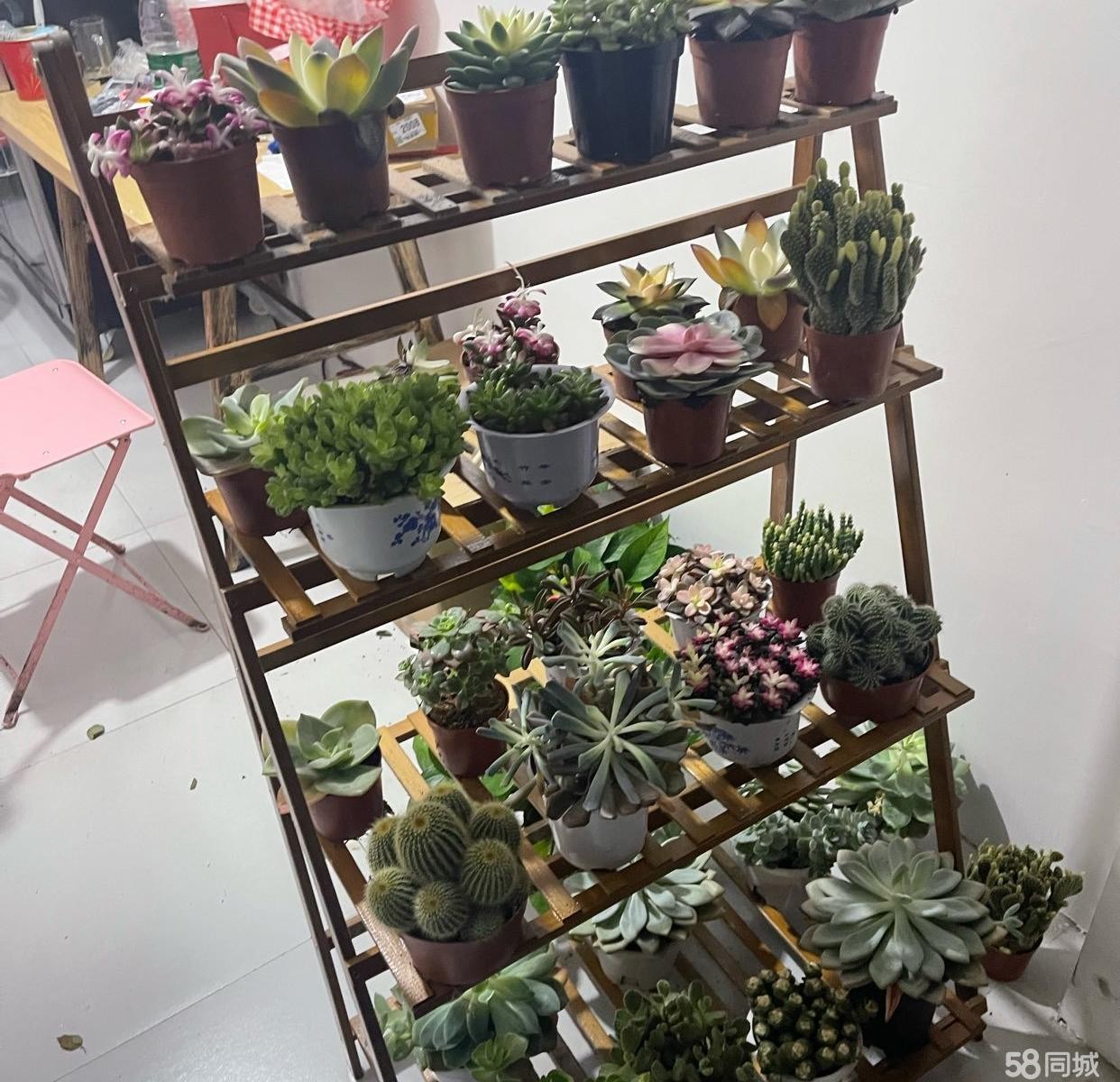 (转让)鲜花店转让,老板不在遵义，低价转或空转