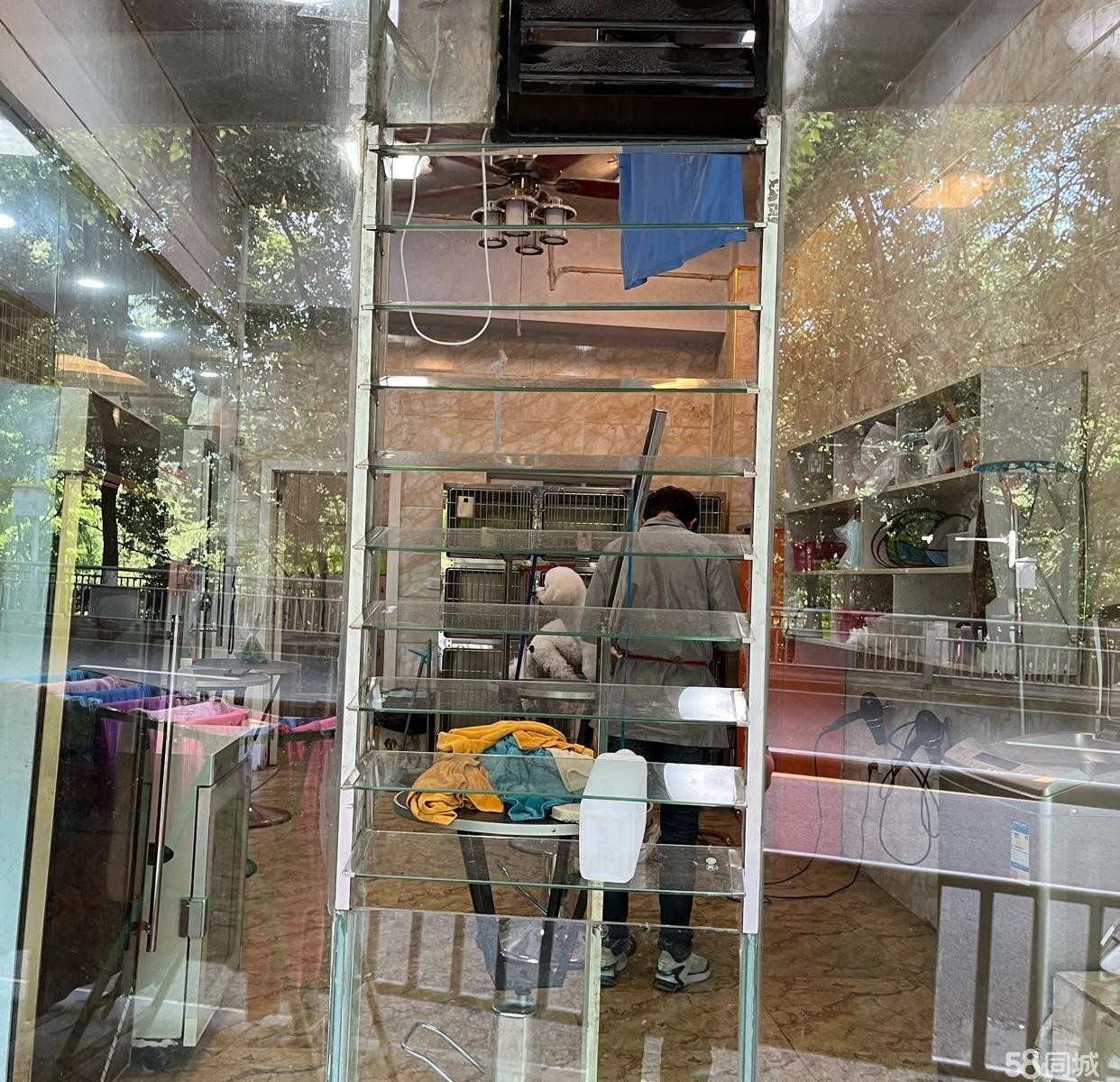 (转让)老城区10年宠物店转让
