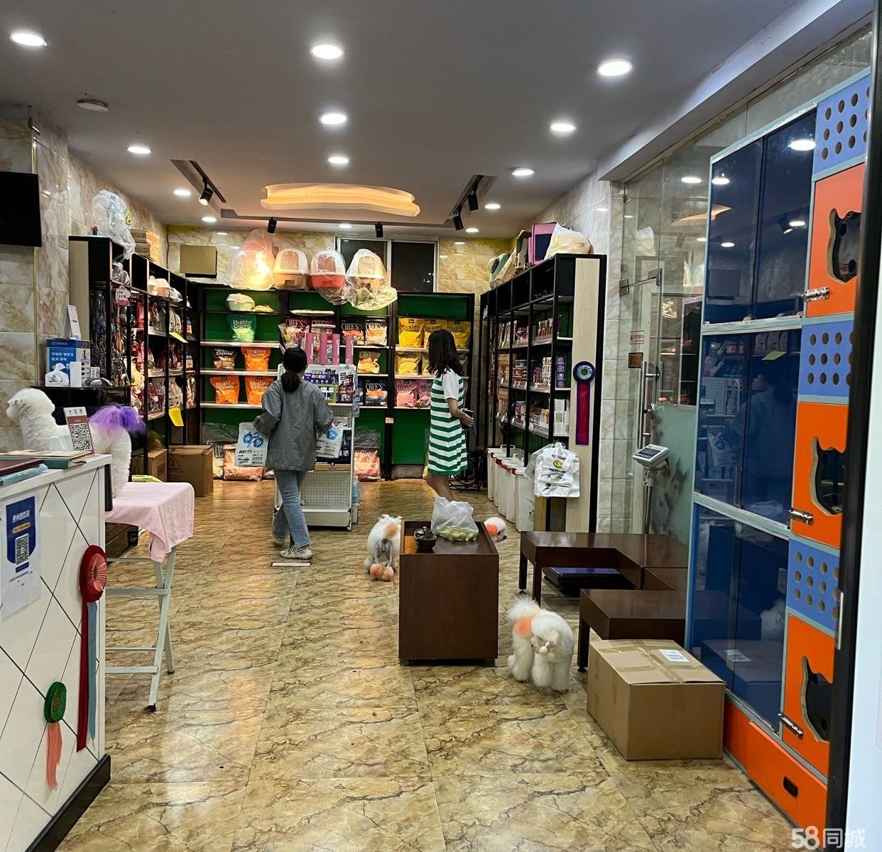 (转让)老城区10年宠物店转让