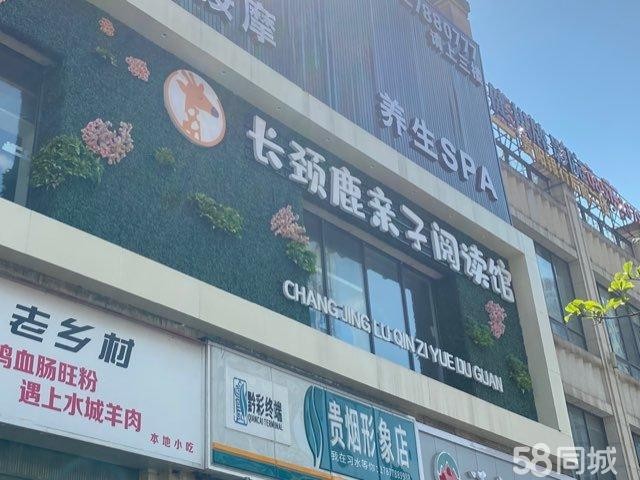 (转让)稀缺临街商业杉王一号网红装修