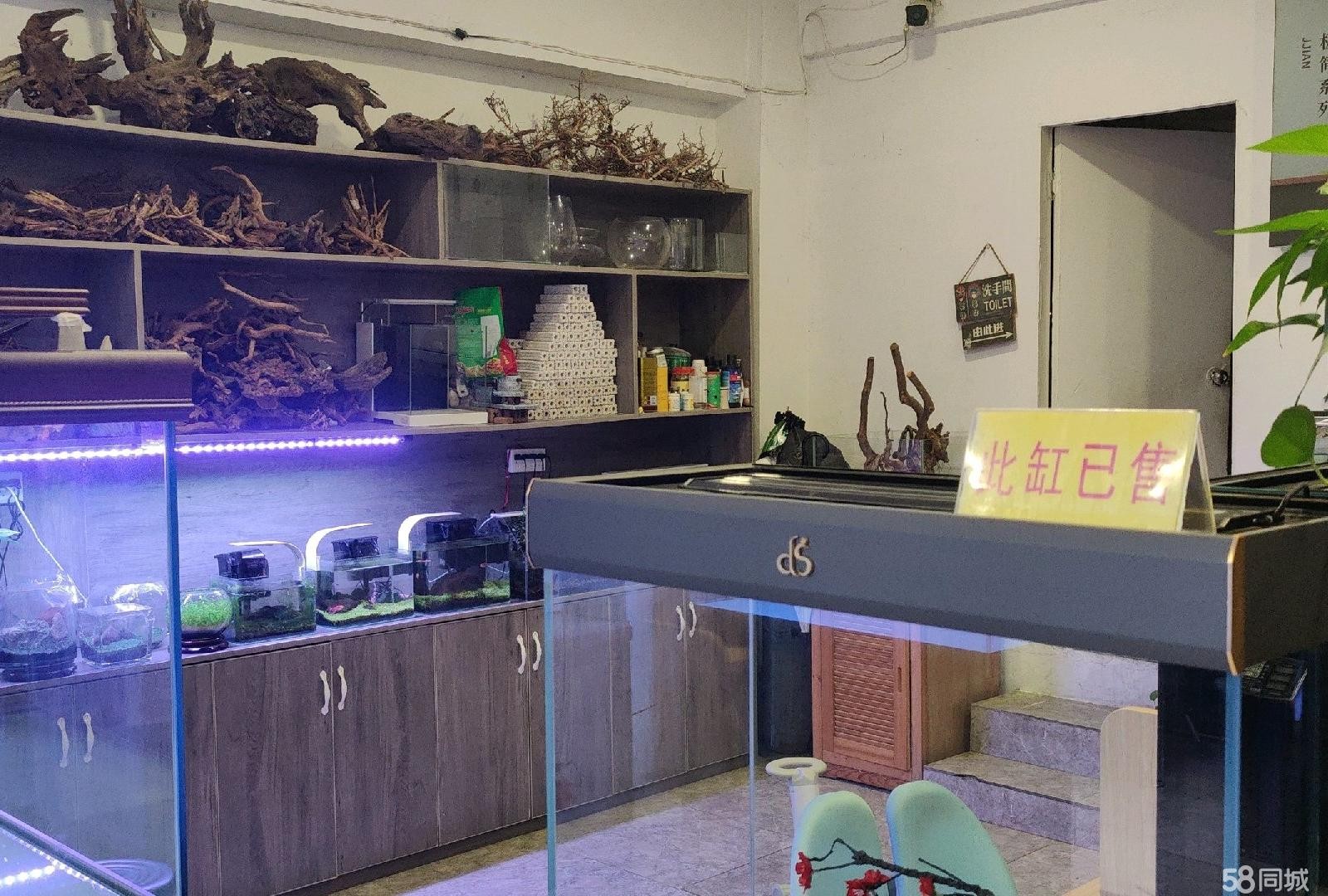 (转让)临街门面，遵义集中的花鸟市场------