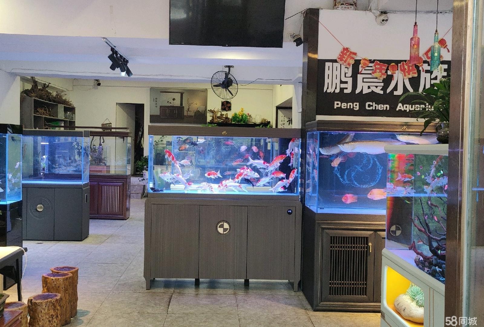 (转让)临街门面，遵义集中的花鸟市场------