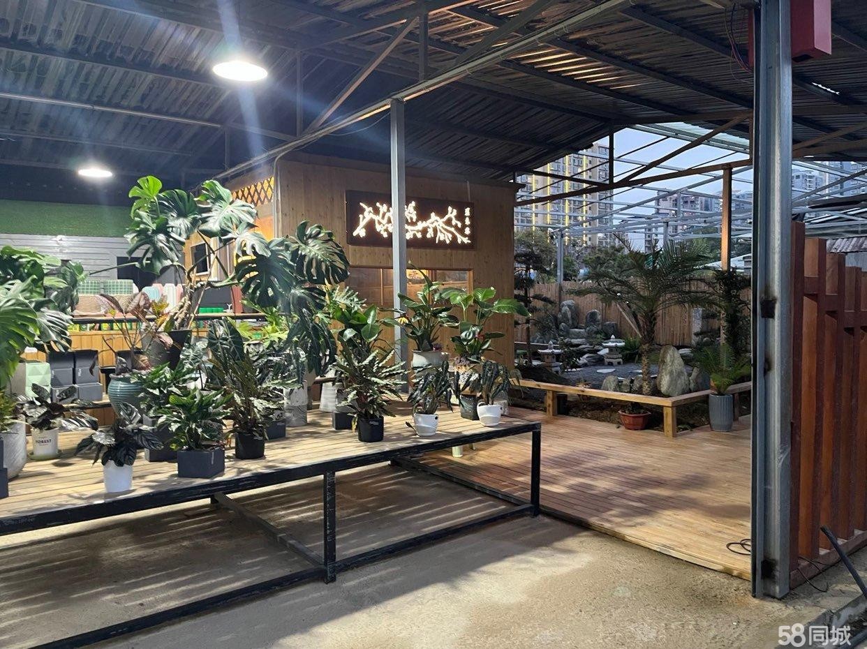 (转让)位于花鸟市场显眼，宽阔的位置