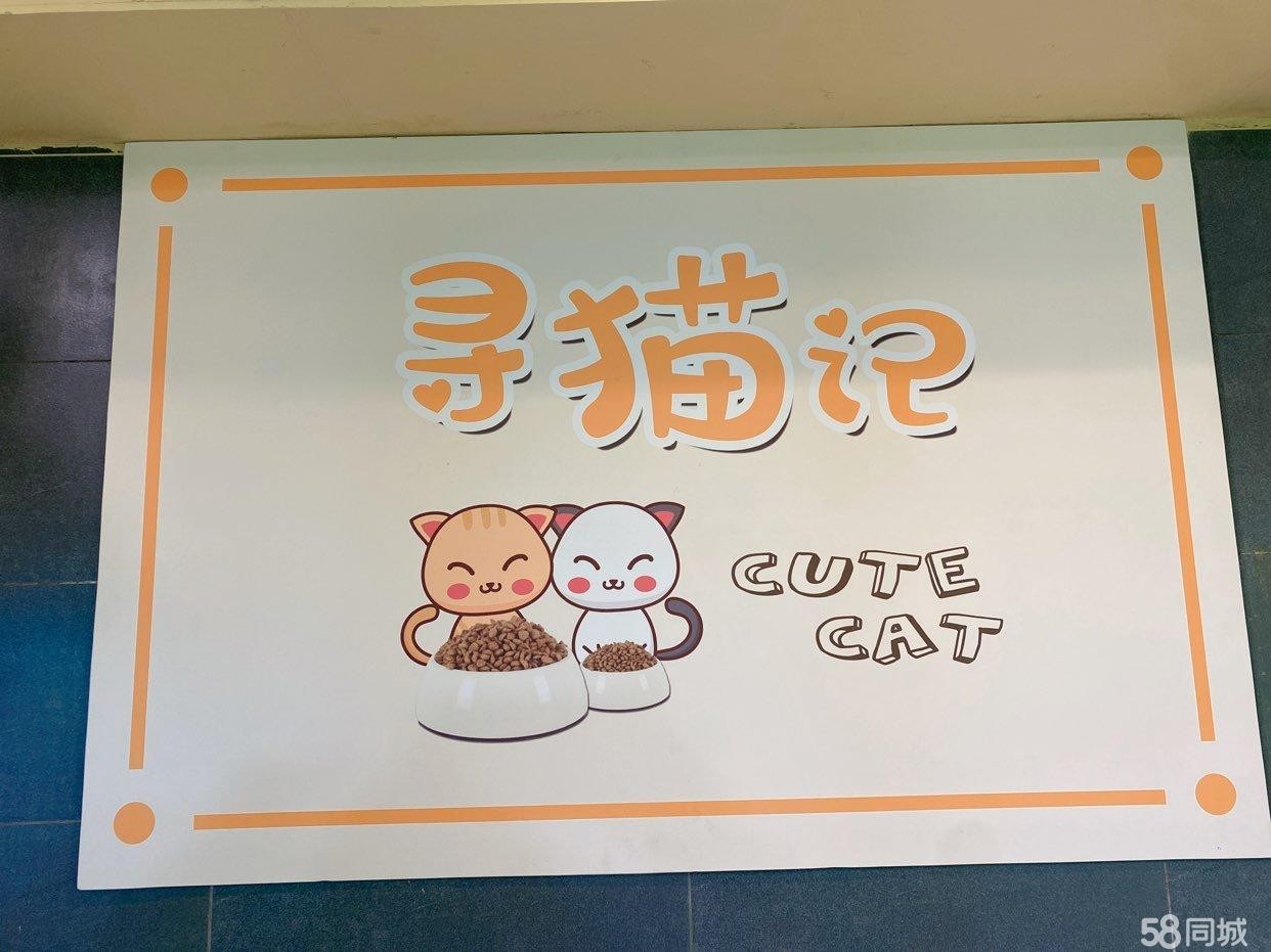 (转让)猫咖转让中个人原因转让