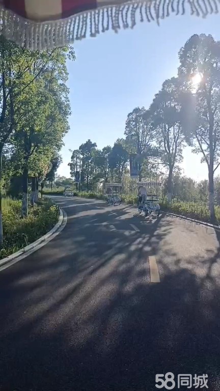 (转让)旺季游乐设施设备转让