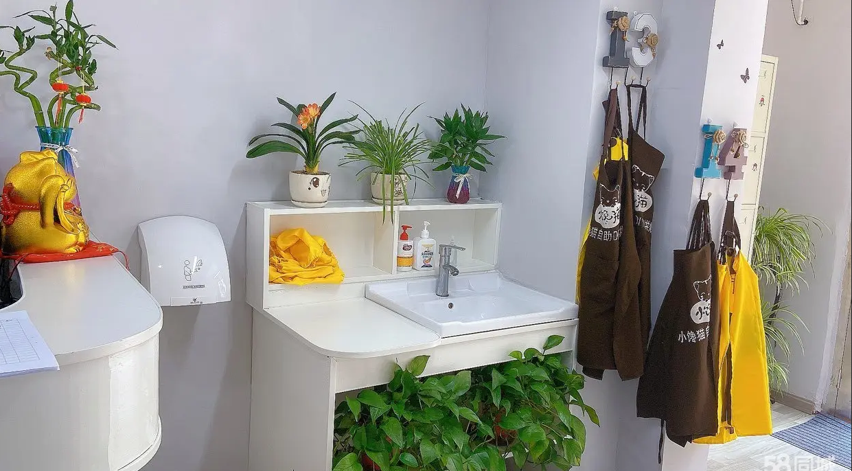 (转让) DIY烘焙店营业中转让